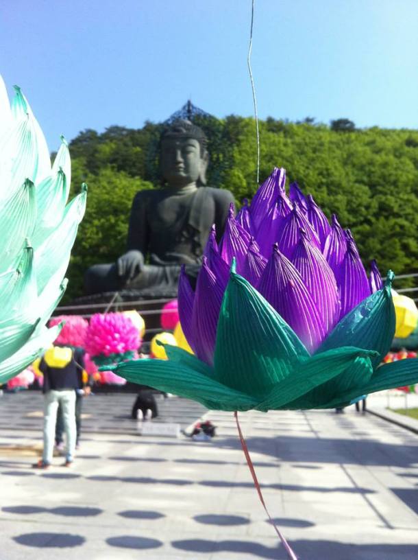 5 Buddha statue and free lotus-shaped lanterns
