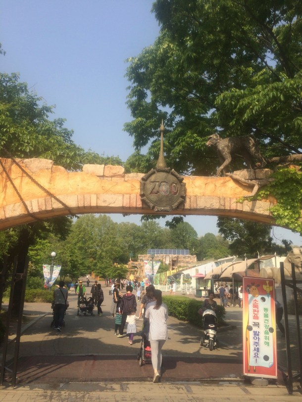 7 zoo, my favorite place in park