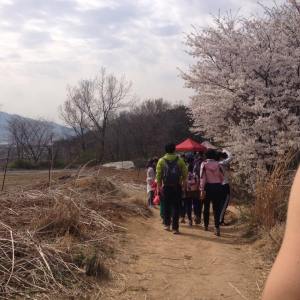 11116199_954967047886782_901206597_n