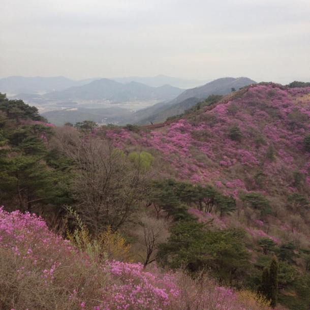 11158017_954966271220193_1142218228_n