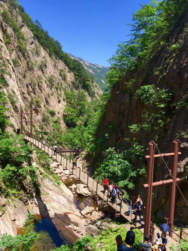 11267681_10200520978905171_169377428_n