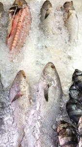 7peZF8nV7tmRrWYzl2Q9LaO3hjCzhA-rtPGtmE3W7E0,HEBr_VmwPzKCV9biE94G3WNJMe2evDFPNjN_TToutU4