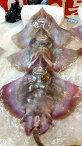 8aq9wNxJPTg-epvHHmSpgYM7GQqmtHwCqDwRTJ8nIVM,LLgQdYDhim8zHsz69uzJLyWC7x-T-ufnD_ODKfLu1oM