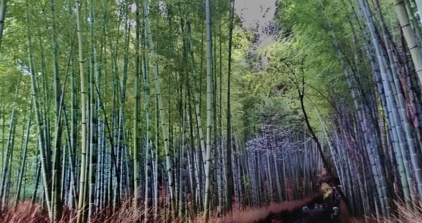 Arashiyama