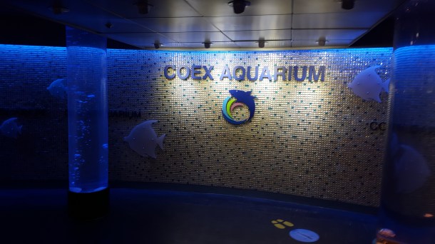 Aquarium 1