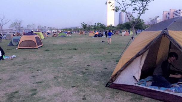 13061919_10155333146513084_4369049169750857565_n