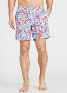 swimming trunks