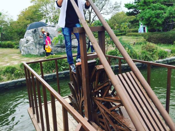 14550956_10209314656934900_804338838_o