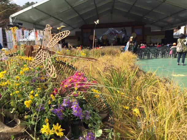 14859611_10209559444294431_1097431808_o