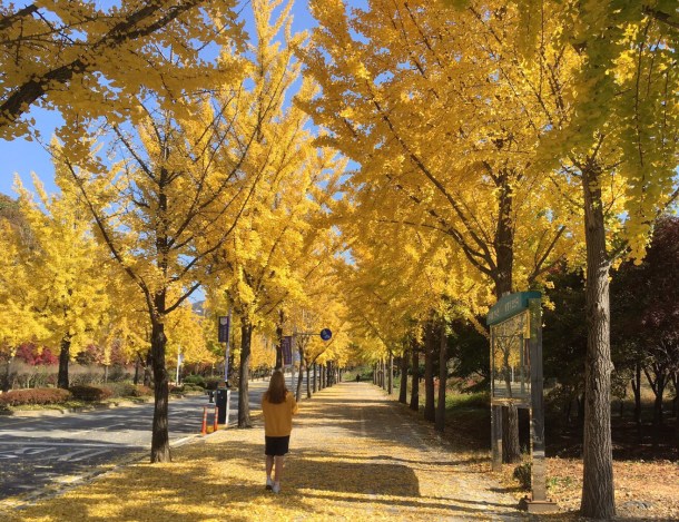 KakaoTalk_Photo_2018-03-21-19-57-17_3