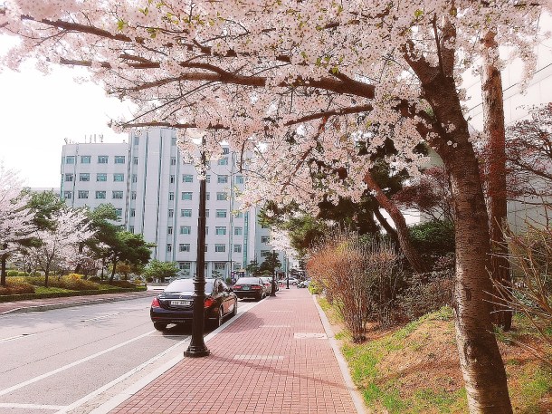 KakaoTalk_Photo_2018-03-21-19-57-20_73